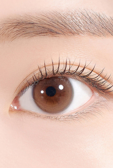 Dewy Kristin 1Day - 棕色